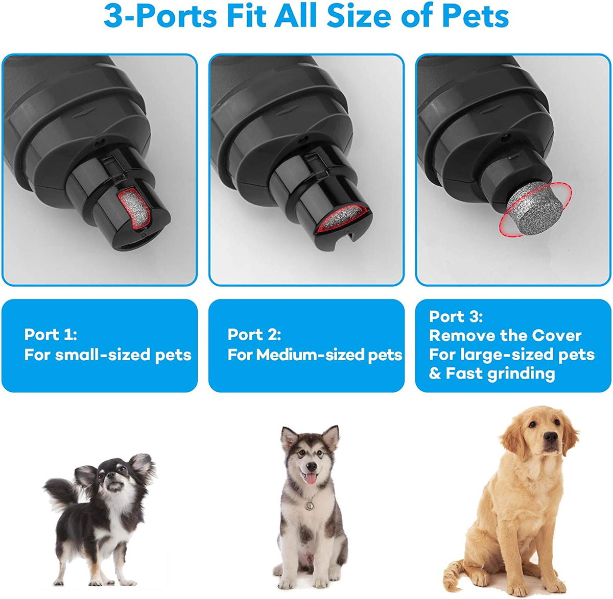 Transform Your Pet's Grooming Routine with the Casfuy Dog Nail Grinder - Powerful 2-Speed Electric Trimmer with LED Lights for Safe, Painless Nail Care for Dogs and Cats